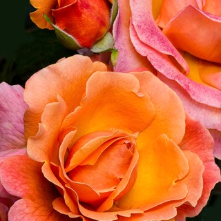 Untitled post 5824