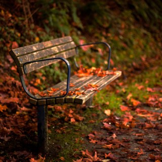 Untitled post 5630