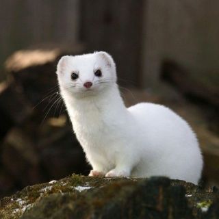 Untitled post 5710