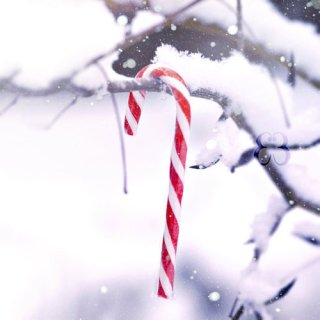 Untitled post 5436