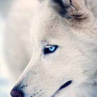 Untitled post 5409