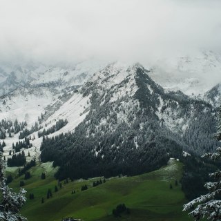 Untitled post 5412