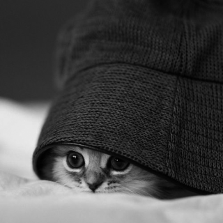 Untitled post 5424