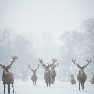Untitled post 5280