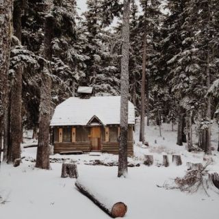 Untitled post 5317