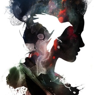 Untitled post 5011