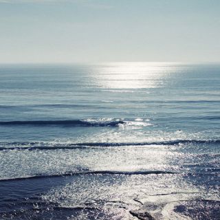 Untitled post 5042