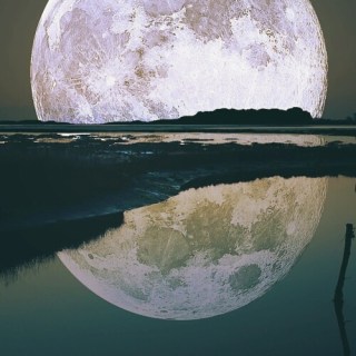 Untitled post 5195