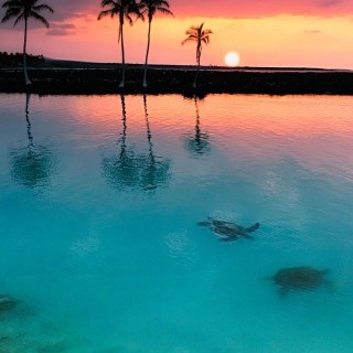 Untitled post 4950
