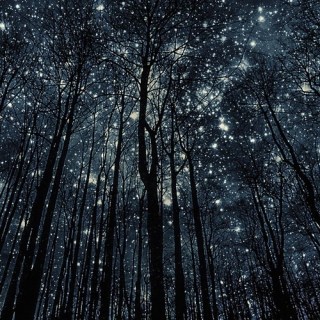 Untitled post 4932