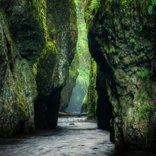 Untitled post 4817