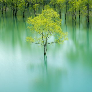 Untitled post 4808