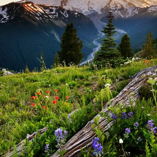 Untitled post 4858