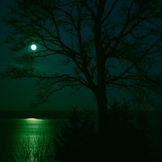 Untitled post 4805