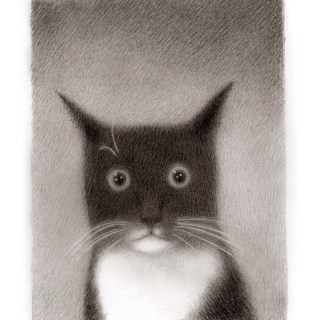 Untitled post 4747