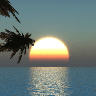 Untitled post 4497