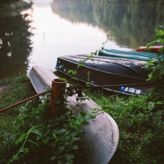 Untitled post 4479