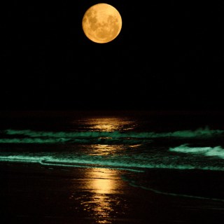 Untitled post 3810